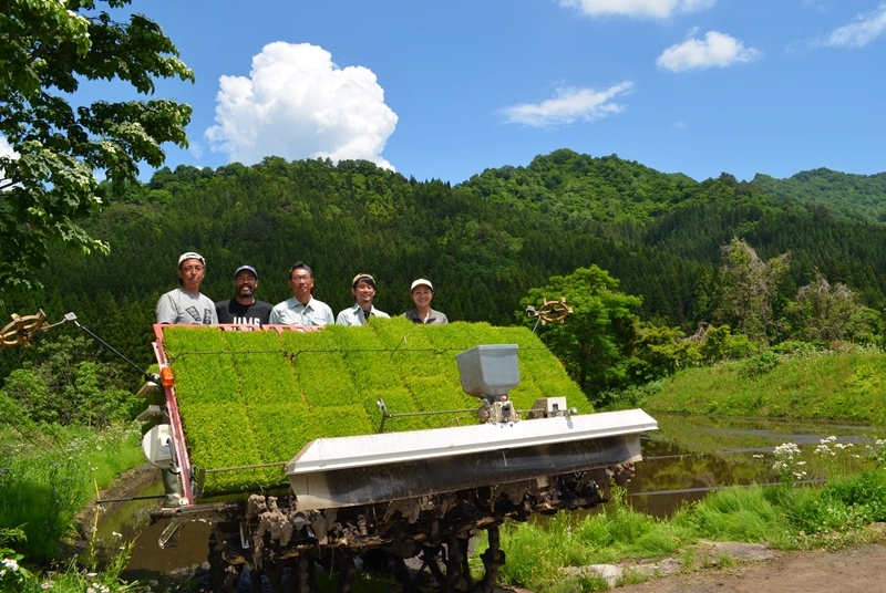 標高400メートルを超える水田で作業するスタッフ